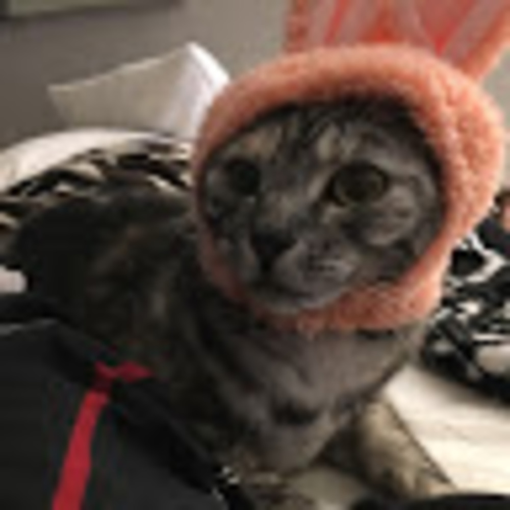 Meet your Posher, Chloe